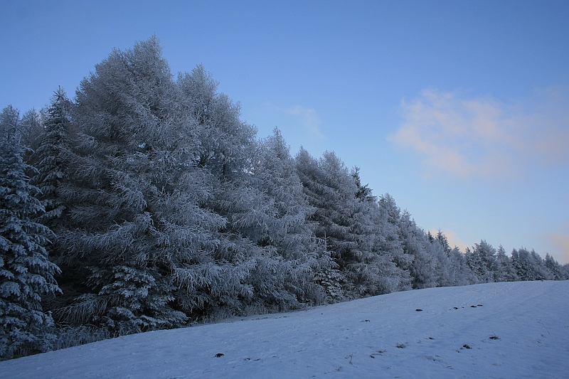 Bieszczady 12.2007 051